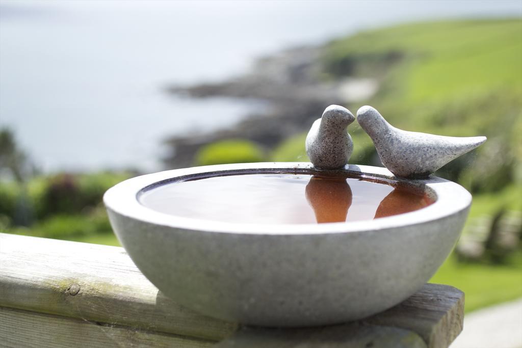 Hotel Driftwood Porthscatho Zewnętrze zdjęcie